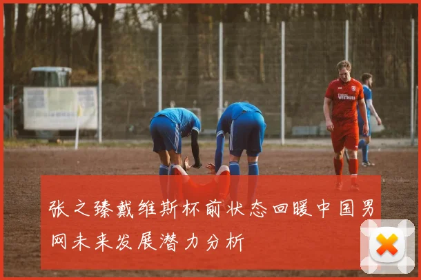 张之臻戴维斯杯前状态回暖中国男网未来发展潜力分析