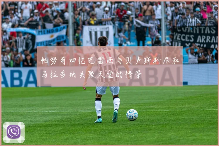 帕努奇回忆巴雷西与贝卢斯科尼和马拉多纳共聚天堂的情景